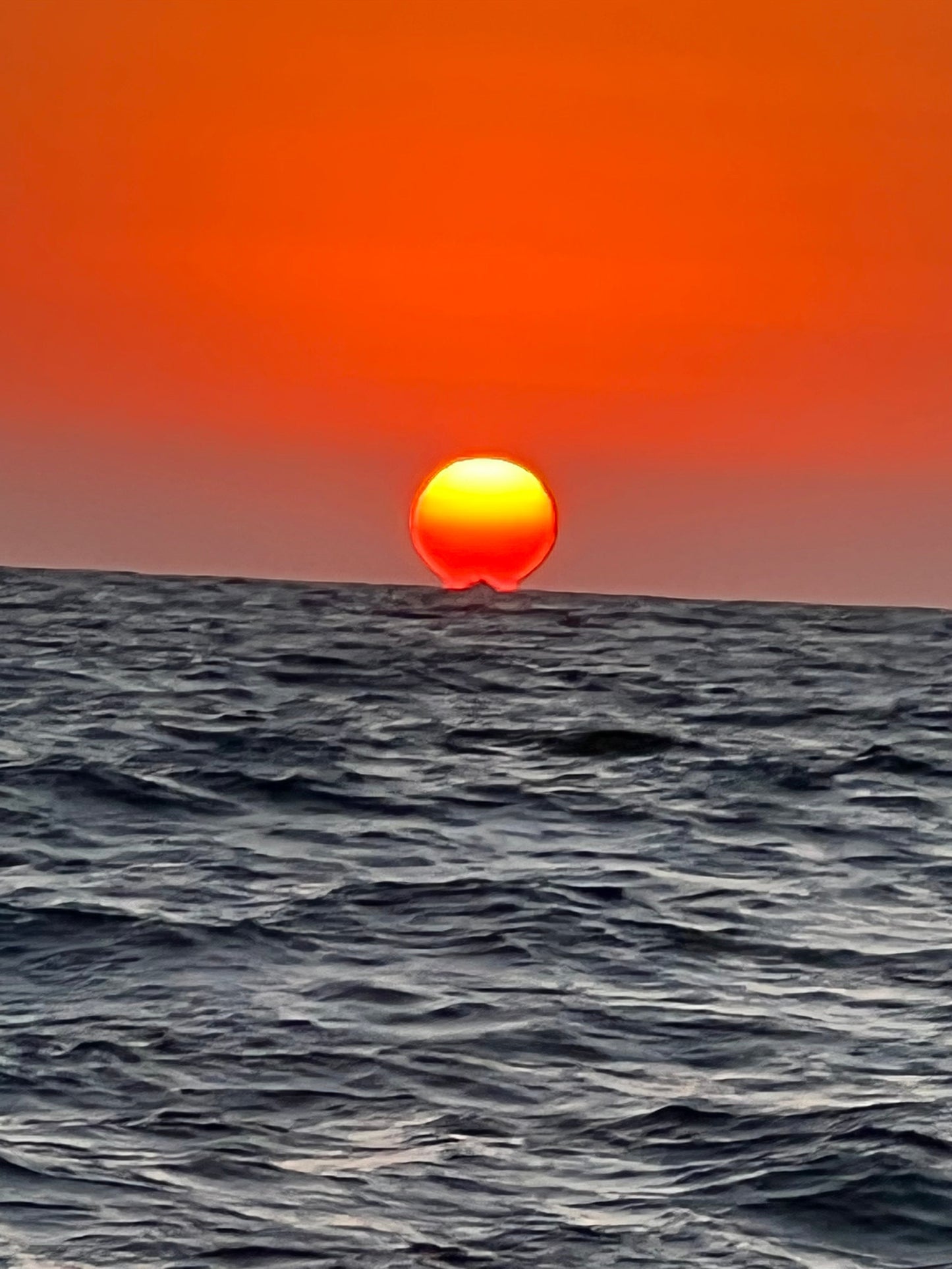 The Voyage of Cacao: The Seed That Crossed the World